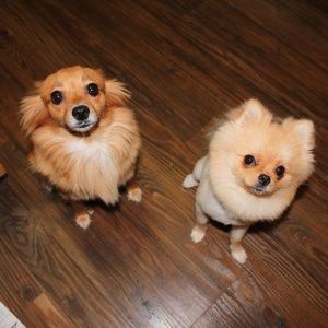 Meet your Posher, Cheryl